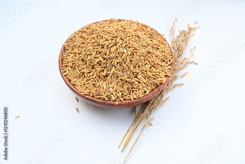 Cuadro en lienzo Wooden bowl filled with paddy