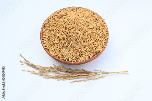 Wooden bowl filled with paddy. Its called brown rice or unmilled rice. Rice is produced by removing the husk layer from paddy. Paddy seeds or rice seeds.  photo