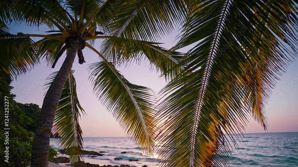 Relaxing sunset at a tropical beach with palm trees swaying gently by the ocean shore Relaxing sunset at a tropical beach with palm trees swaying gently by the ocean shore