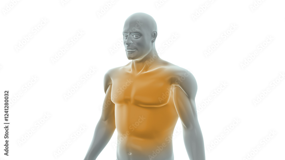 Pain Affecting the Spine and Back Region Pain Affecting the Spine and Back Region