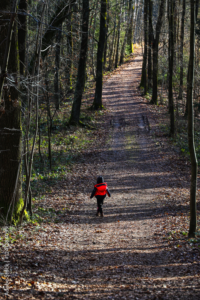 Obraz premium A small child in a bright pink jacket standing on a path covered with dry leaves in the middle of the forest