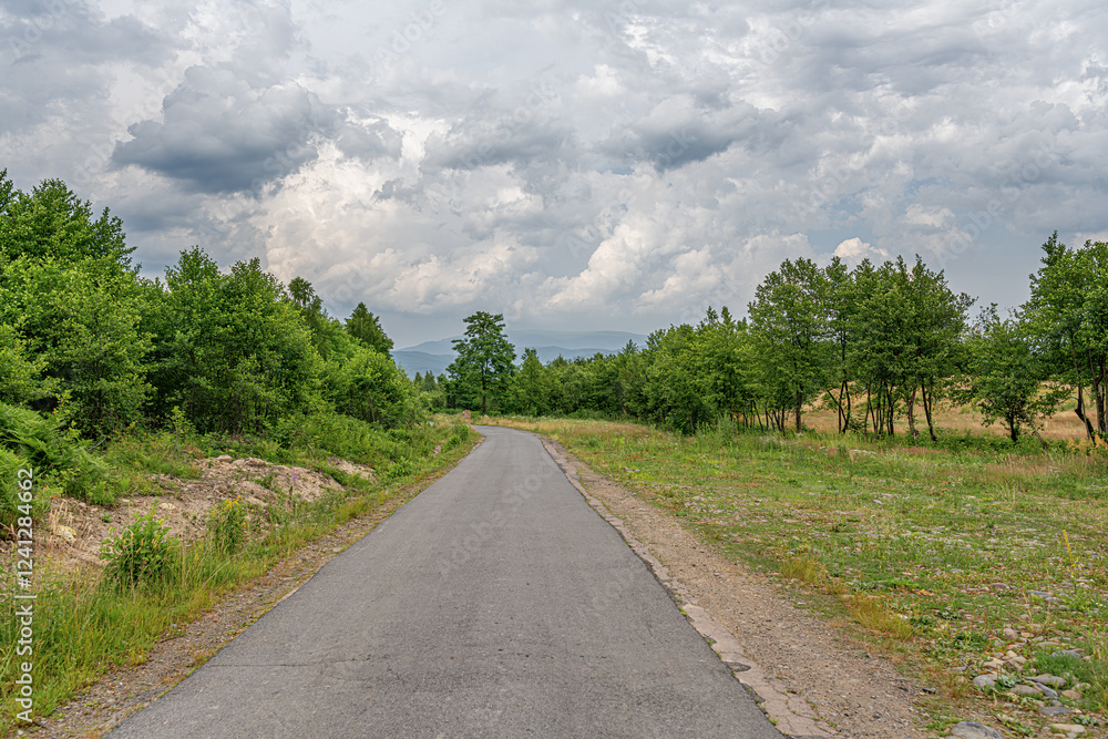 A narrow and slightly worn countryside road winds through lush greenery under a dramatic cloudy sky, creating a peaceful and atmospheric rural scene.
