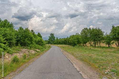 Obraz na płótnie A narrow and slightly worn countryside road winds through lush greenery under a dramatic cloudy sky, creating a peaceful and atmospheric rural scene. w salonie