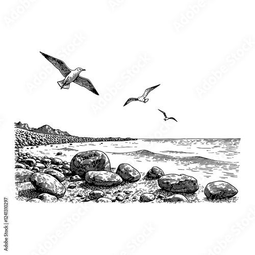Seashore View with Rocks Seagulls and Waves in Black and White Outline Line Art Drawing