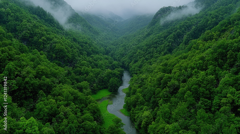 River flows through misty green mountain valley River flows through misty green mountain valley