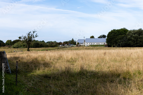 Country road among fields and forests. Rural landscape