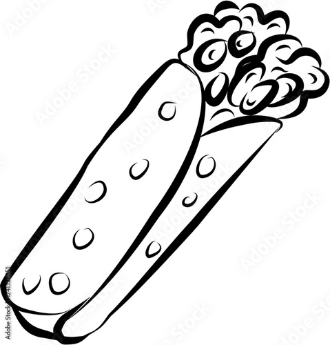 Mexican food. Hand drawn vector isolated doodle. Burritos