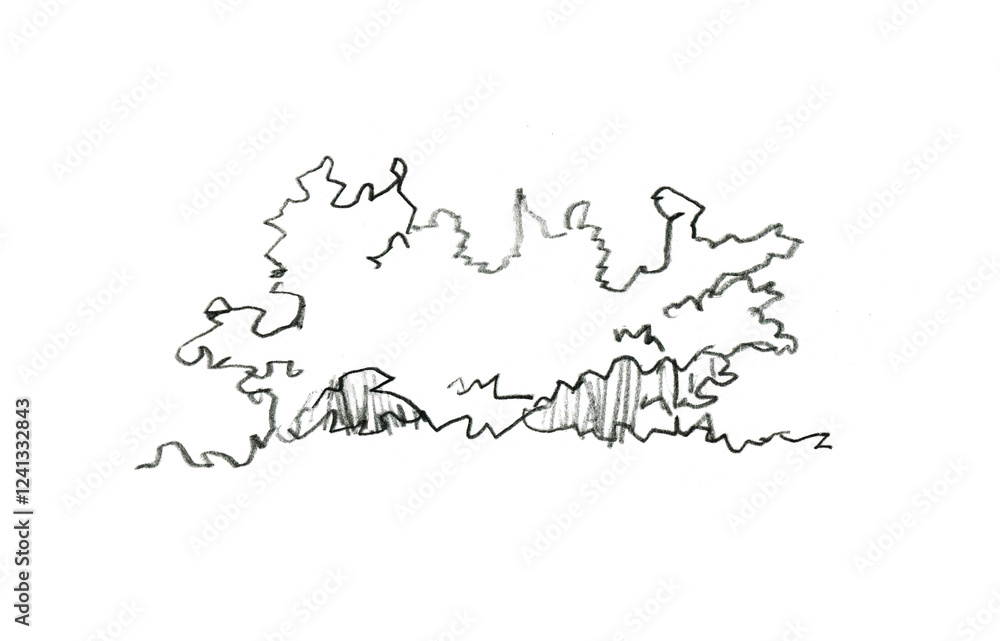 Hand drawn illustration of a tree on a white background, sketch Hand drawn illustration of a tree on a white background, sketch
