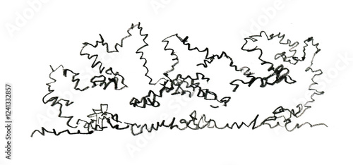 Hand drawn illustration of a tree on a white background, sketch