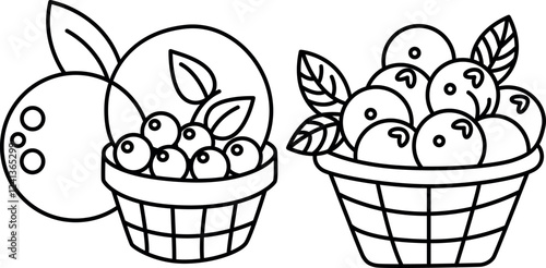 "Blueberry with Basket Coloring Pages – Fun and Printable Artwork for All Ages"