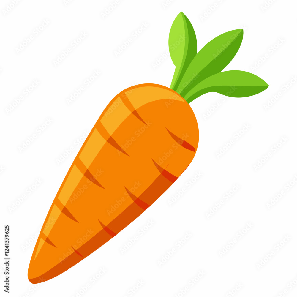Carrot isolated white Carrot isolated white