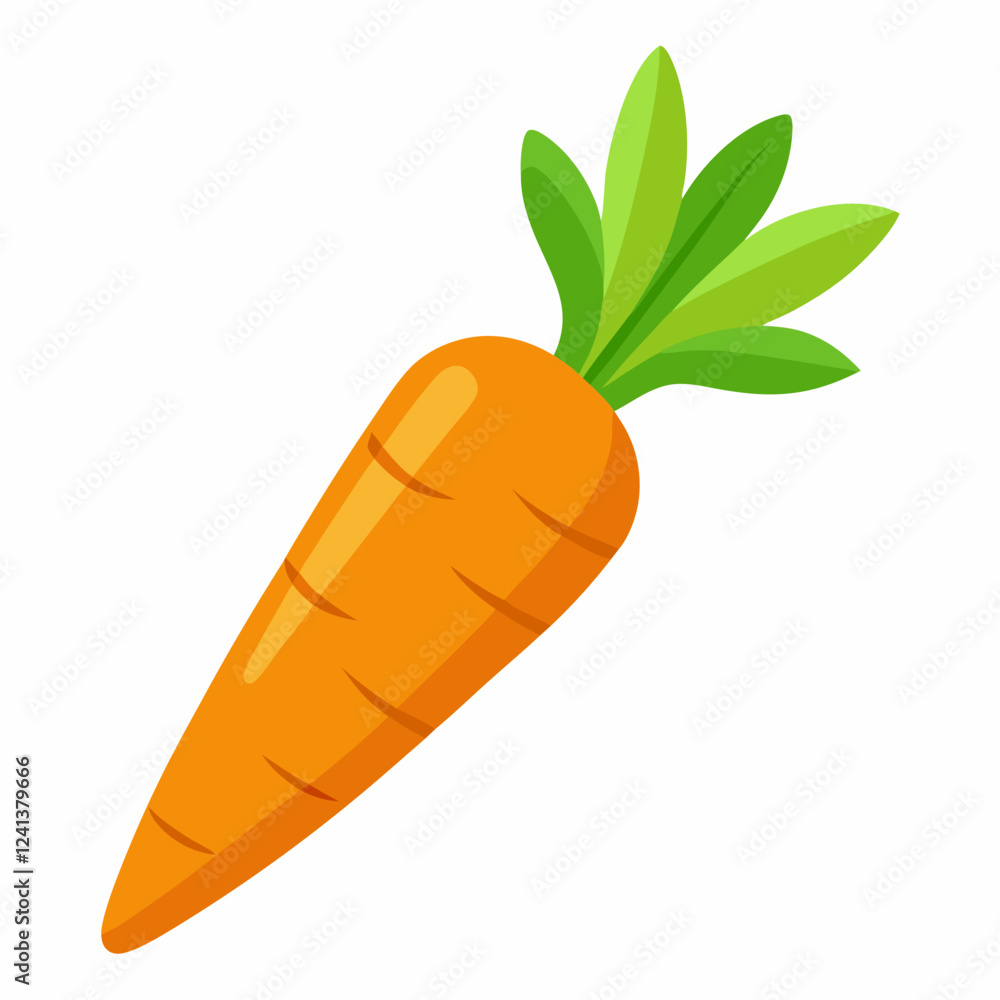 Carrot isolated white Carrot isolated white