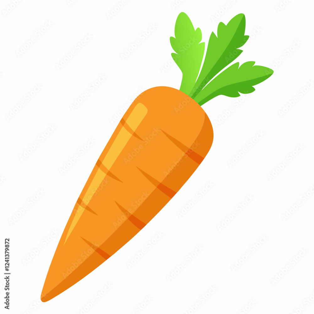 Carrot isolated white Carrot isolated white