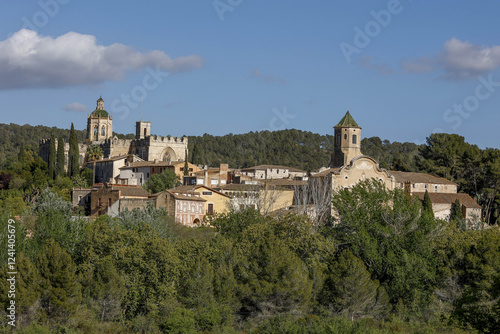 Santes Creus cistercian abbey, Aiguamurcia, Catalonia, Spain photo