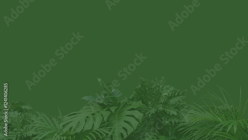 green leaves background, green backdrop