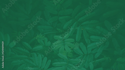 Wallpaper Mural green leaves background, green backdrop Torontodigital.ca