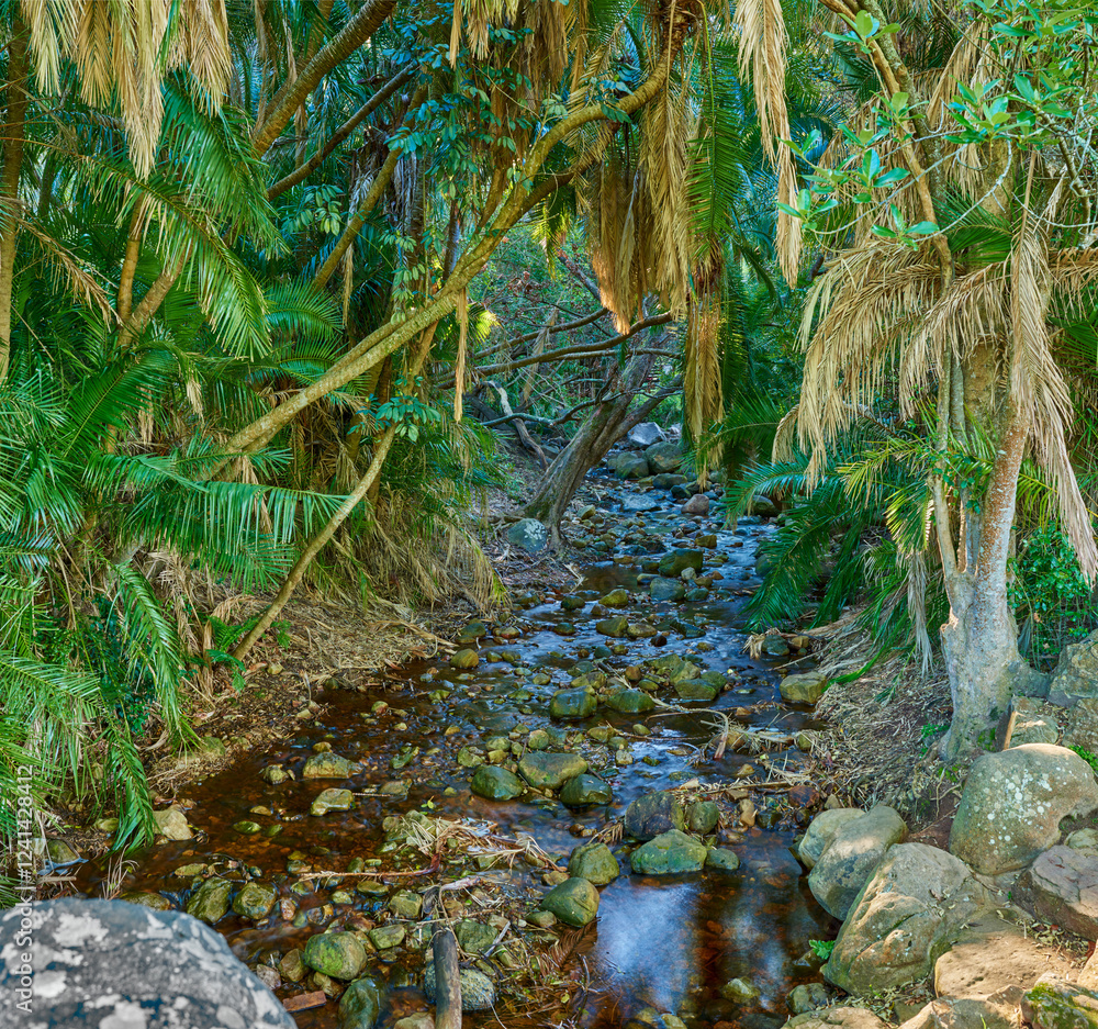 River, mountain and trees for peace in nature, sustainable environment and oxygen production on trip. Travel, rocks and plants for calm on vacation in countryside, eco friendly leaves and rainforest River, mountain and trees for peace in nature, sustainable environment and oxygen production on trip. Travel, rocks and plants for calm on vacation in countryside, eco friendly leaves and rainforest
