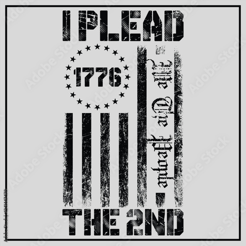 I Plead The 2nd Amendment We The People T-Shirt, 2nd amendment mens shirt Design