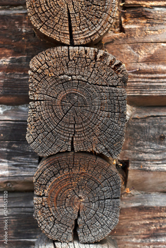 Close-up of Weathered Log Wall