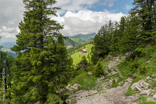 Swiss alpine landscape with a hiking trail, alpine trees in the foreground. Between the trees a wooden mountain hut is visible in the background. Soldatenhaus hut in Jaun, Switzerland. Cloudy summer. photo