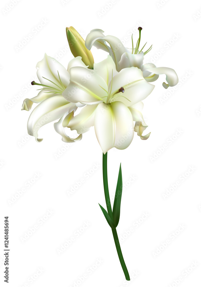 Naklejka premium Beautiful bouquet of white lilies. Flowers. Isolated. Green leaves. Flowering branch.
