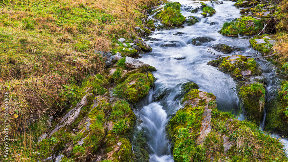 autumnal mountain landscape with a small stream inside the Alpe Devero, Val D'Ossola, Verbania, Italia
autumnal mountain landscape with a small stream inside the Alpe Devero, Val D'Ossola, Verbania, Italia