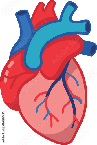 Human heart design over white background vector illustration. Human heart anatomy. Heart medical science vector illustration 