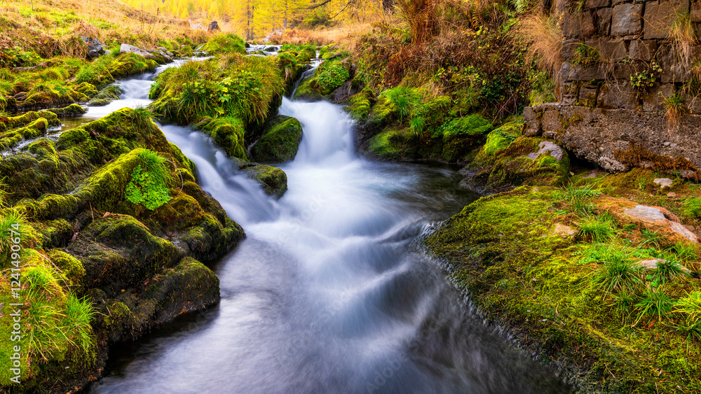 autumnal mountain landscape with a small stream inside the Alpe Devero, Val D'Ossola, Verbania, Italia
autumnal mountain landscape with a small stream inside the Alpe Devero, Val D'Ossola, Verbania, Italia