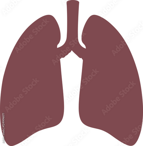 Lungs Human organs hand drawn vector illustration line art. Human lungs. Medical illustration. Vector on white background