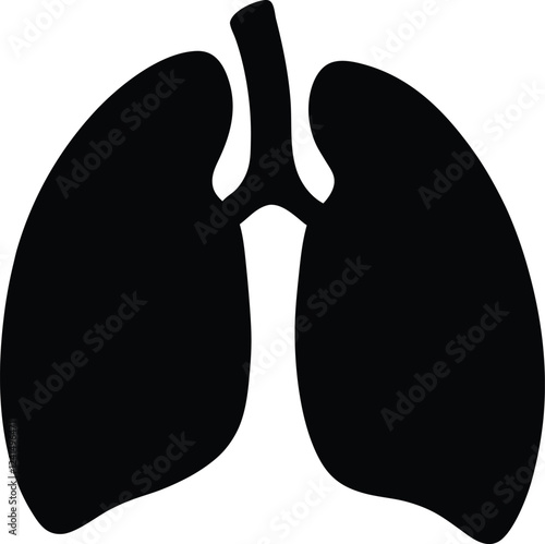 Lungs Human organs hand drawn vector illustration line art. Human lungs. Medical illustration. Vector on white background