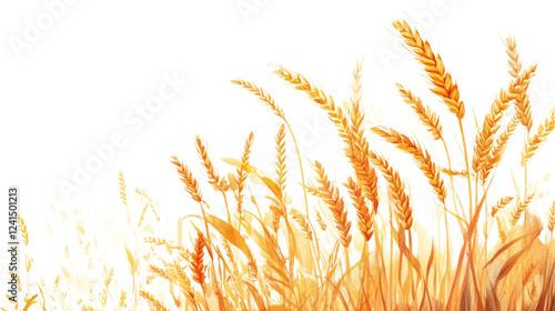 Golden Wheat Stalks in a Ripe Field