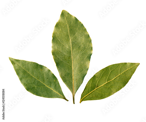 Aromatic bay leaves