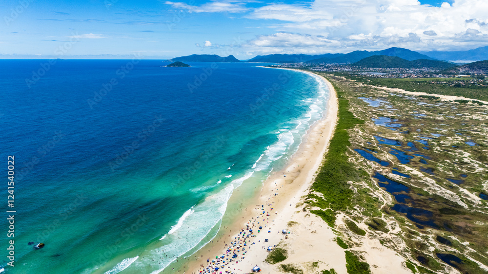 Preserved Brazilian beach with sandbanks and splendid nature on a sunny day with green sea Preserved Brazilian beach with sandbanks and splendid nature on a sunny day with green sea