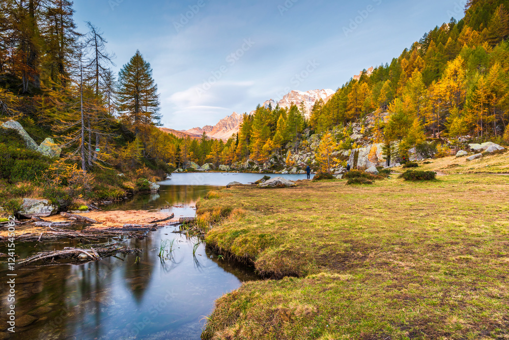 autumnal mountain landscape inside the Alpe Devero, Val D'Ossola, Verbania, Italia
autumnal mountain landscape inside the Alpe Devero, Val D'Ossola, Verbania, Italia