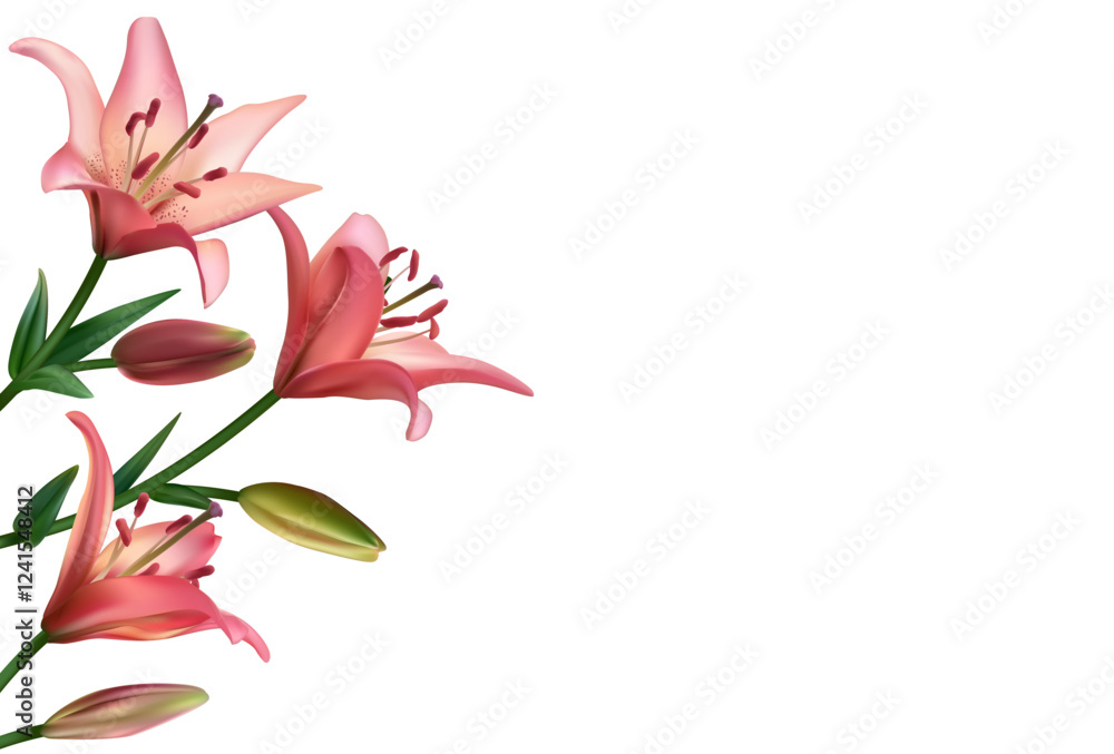 Beautiful pink lily flowers. Buds. Border. Isolated. Floral background. Bouquet. Green leaves. Set. Beautiful pink lily flowers. Buds. Border. Isolated. Floral background. Bouquet. Green leaves. Set.