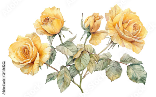 Vintage Watercolor Illustration of Yellow Roses with Green Leaves