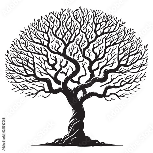 Detailed Silhouette Illustration of a Large Bare Tree