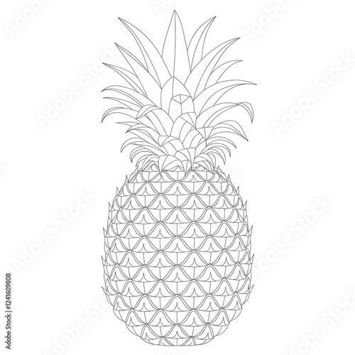 vector illustration of pineapple