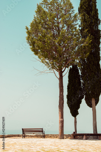 A wooden bench by a steep cliff. There are trees (cypresses) nearby. It's a beautiful view.