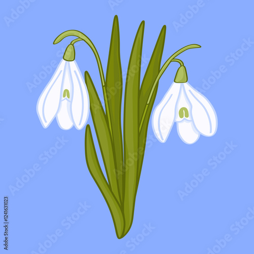 Hand drawn snowdrop on blue background. Botanical art of early spring flower