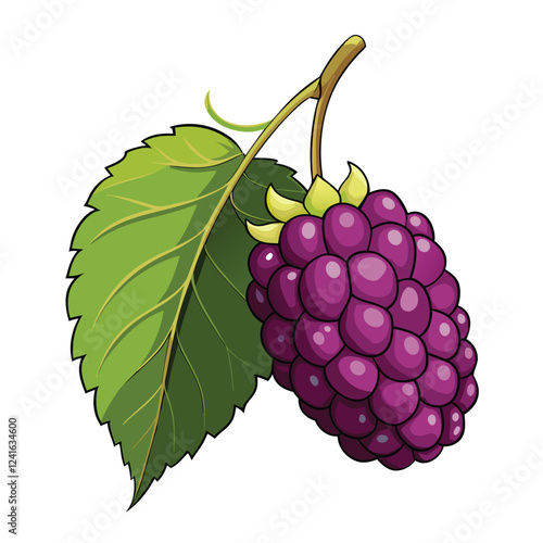 A colorful illustration of a cluster of grapes with green leaves.