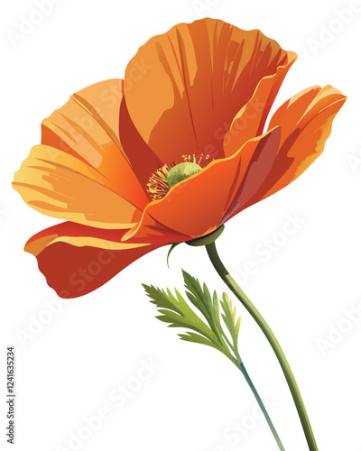 A vibrant orange poppy flower illustration with detailed petals and center.