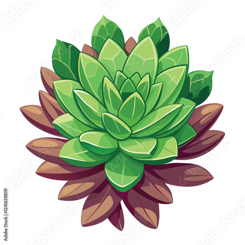 A vibrant illustration of succulent plants with detailed leaves.