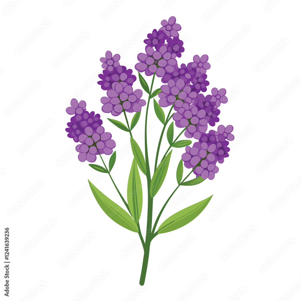 Fototapeta premium A vibrant illustration of purple flowers with green leaves on a white background.