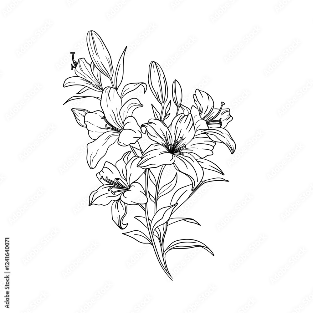 sweet Lily flower outline coloring page sweet Lily flower outline coloring page