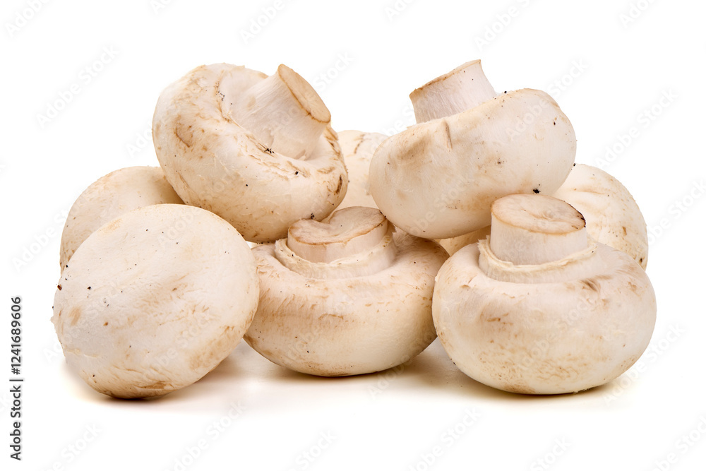 Champignons, close-up, isolated on white background. Champignons, close-up, isolated on white background.