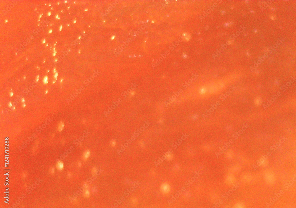 Meat in detail. Image under the microscope, micro photography. Science, study and education. Multiple zoom, close-up. Scientific photography new Meat in detail. Image under the microscope, micro photography. Science, study and education. Multiple zoom, close-up. Scientific photography new