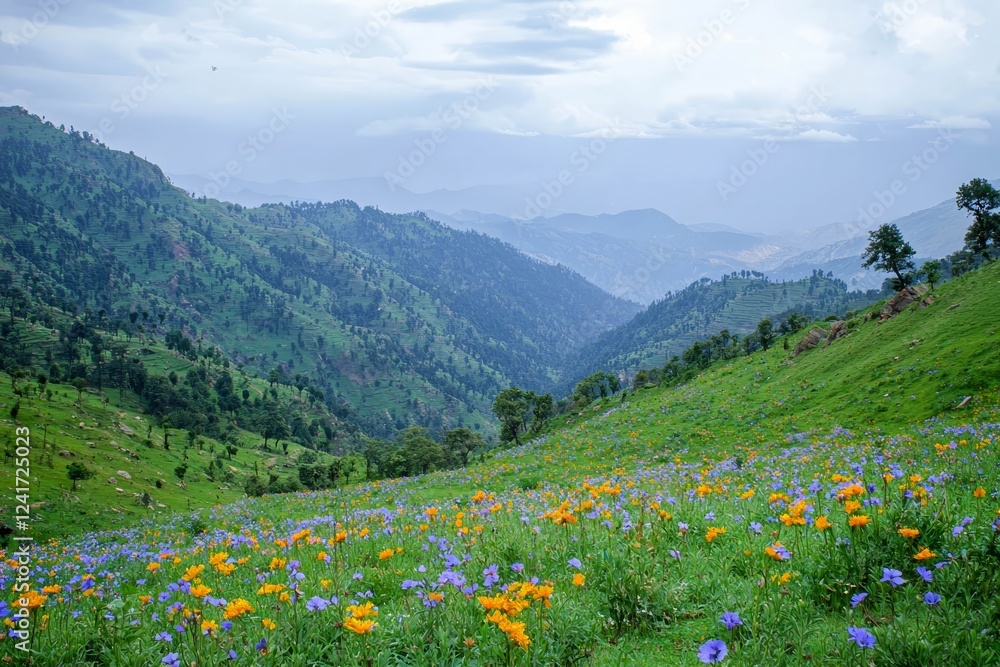 Obraz premium Guransh Laali flowers cover the lower hillsides.