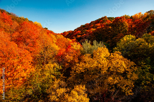 USA, Minnesota, Mendota Heights. Autum color, Ivey Falls Valley photo