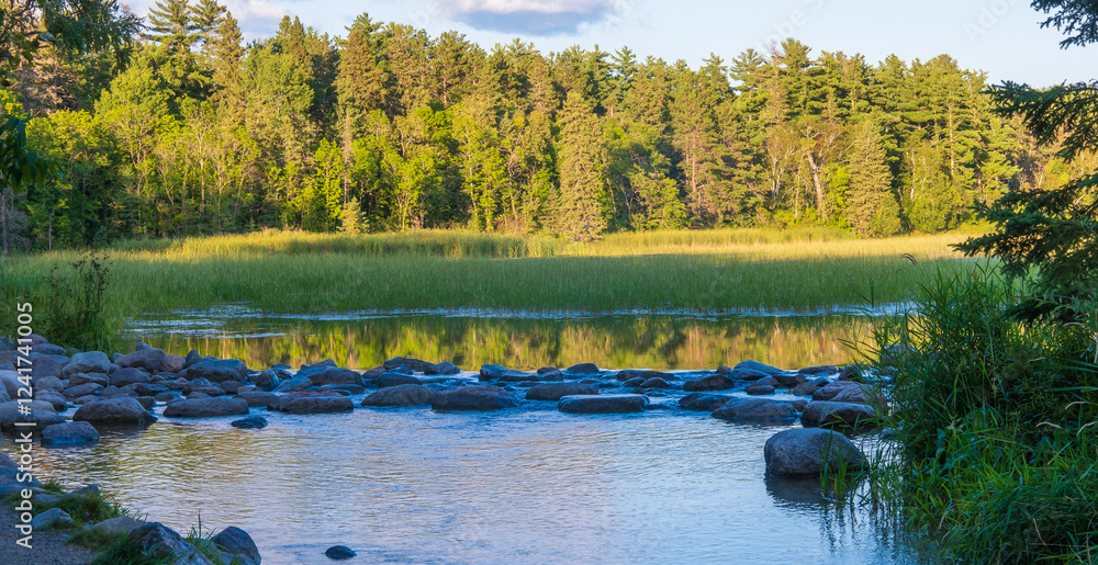 The Source or beginning or start of the Mississippi River at Lake Itasca in Minnesota. Water, trees, reeds, rocks and shoreline in evening light.